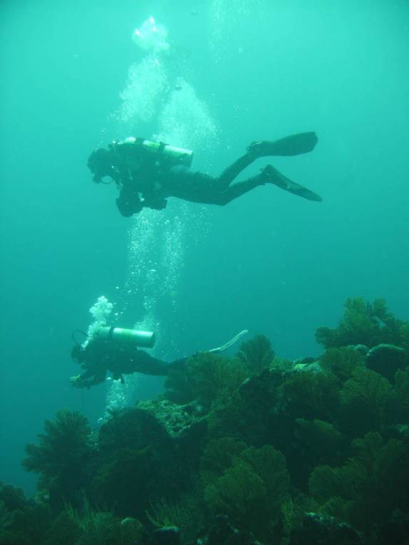 Mergulho na Isla Isabel, em Galápagos